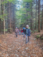 /album/03-10-2025-wulet-ausflug-polevsko-cz/20251003-094605-jpg/
